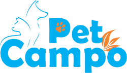 Image Title My Image