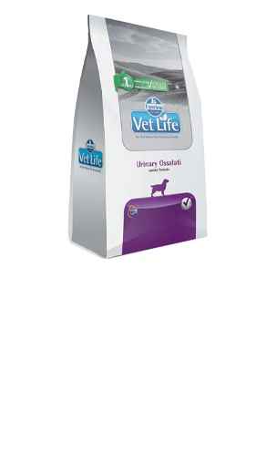 Image Title My Image