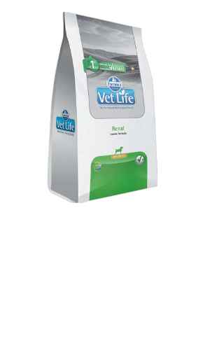 Image Title My Image