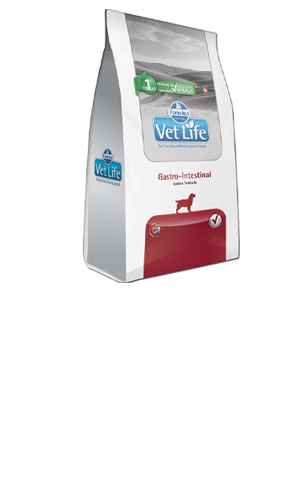 Image Title My Image